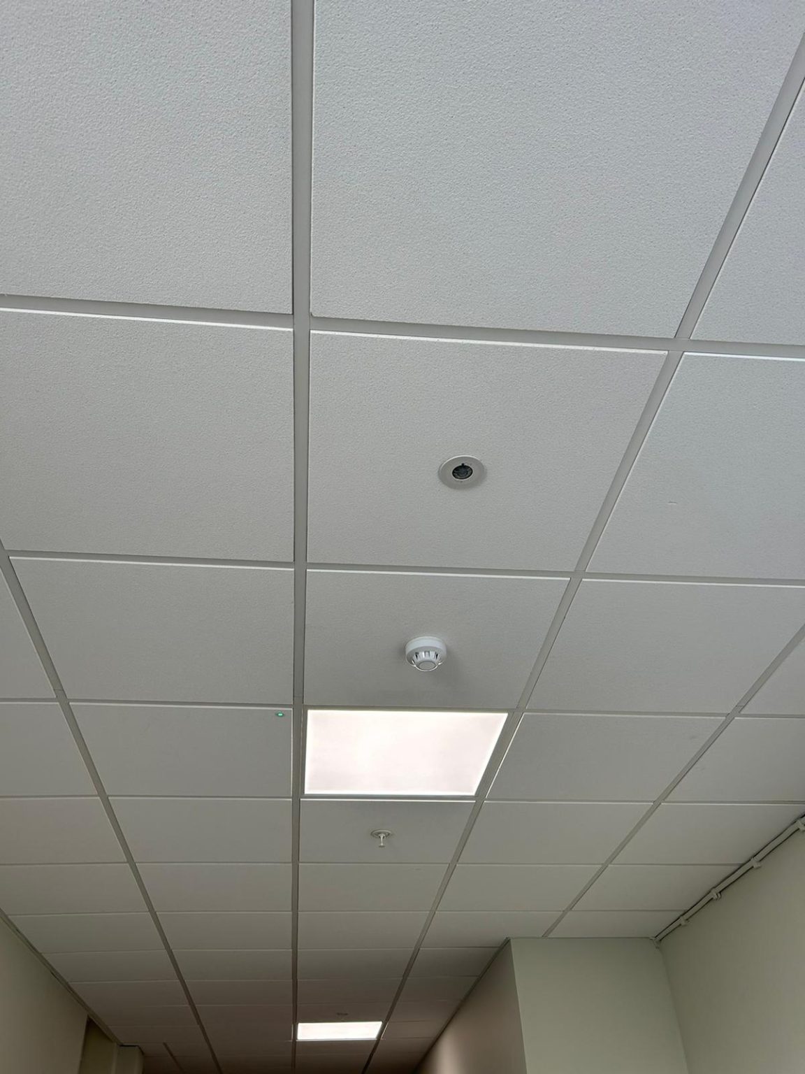 Fire Alarm And Extinguisher Upgrade Corridor Refurbishment Total Safe UK