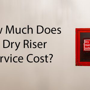 dry riser cost